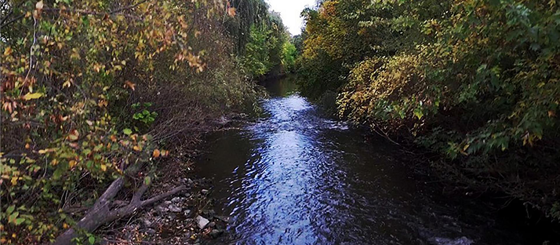 The Rouge River on an autumn afternoon
