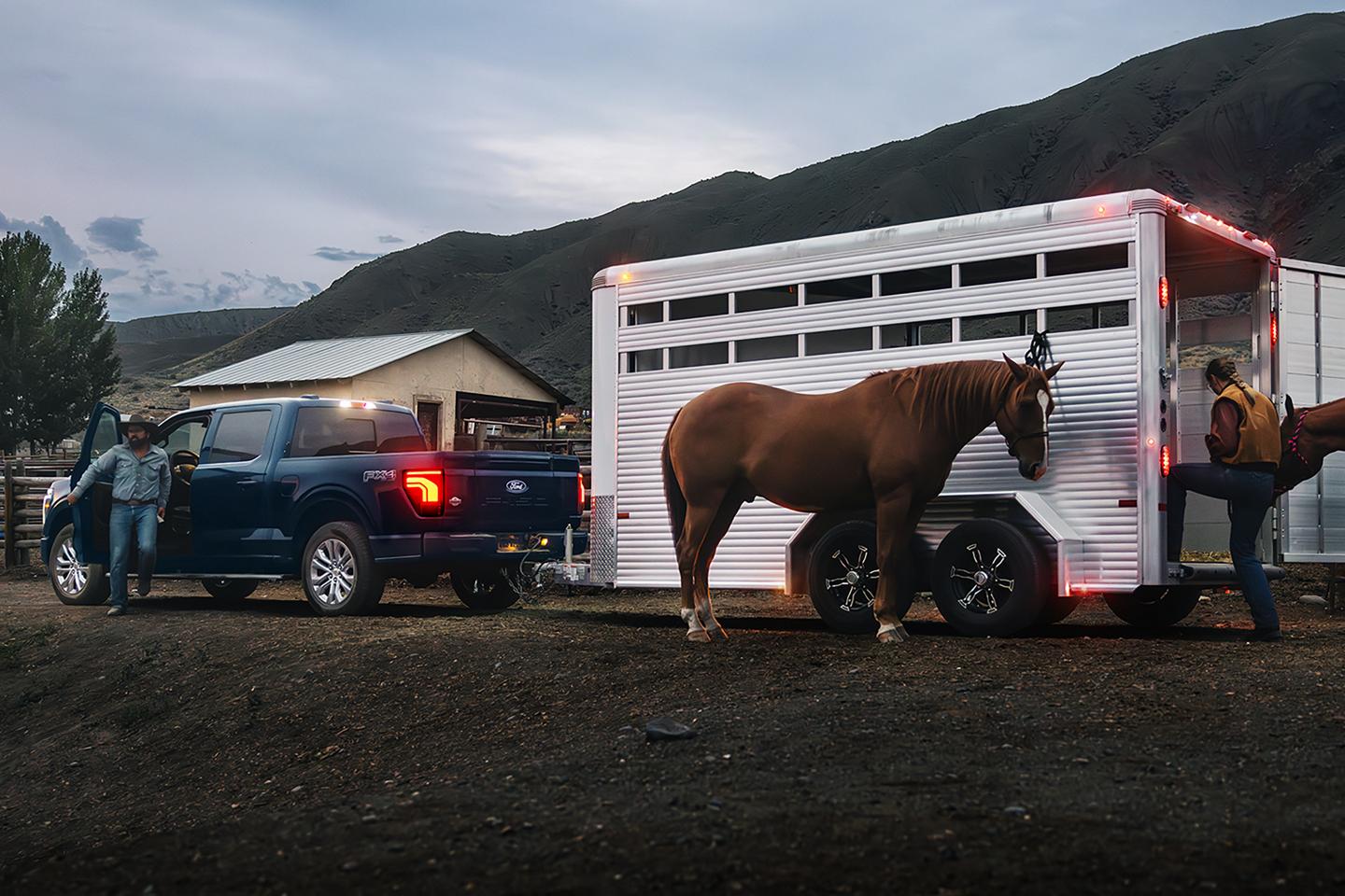 Person loading horses into a horse trailer hitched to a 2026 Ford F-150® King Ranch® model