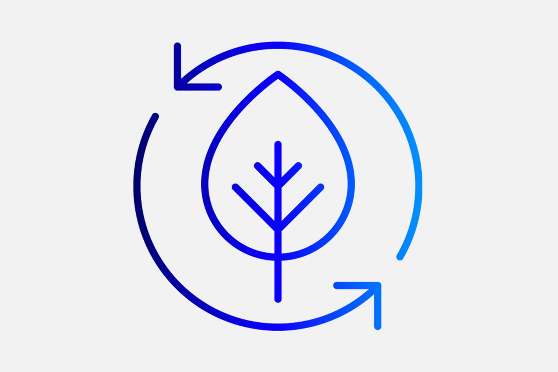 Illustration of a leaf