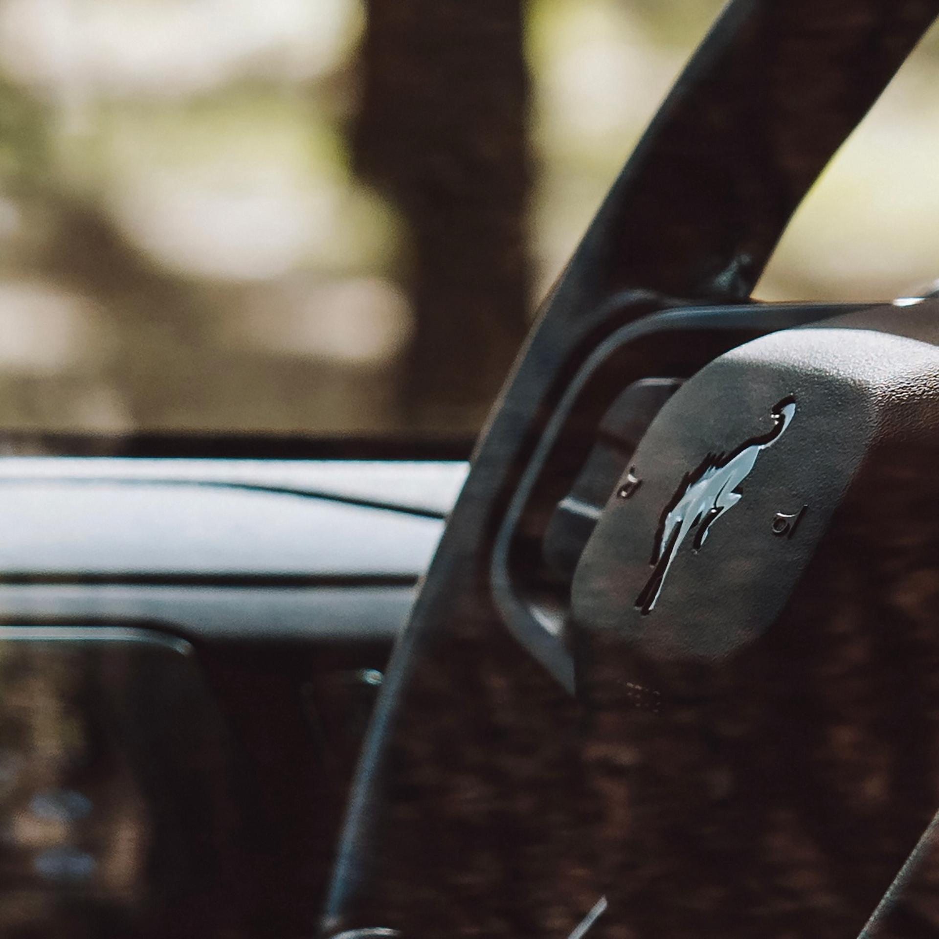 A close-up of the Bucking Bronco logo on the steering wheel of a 2026 Ford Bronco® SUV
