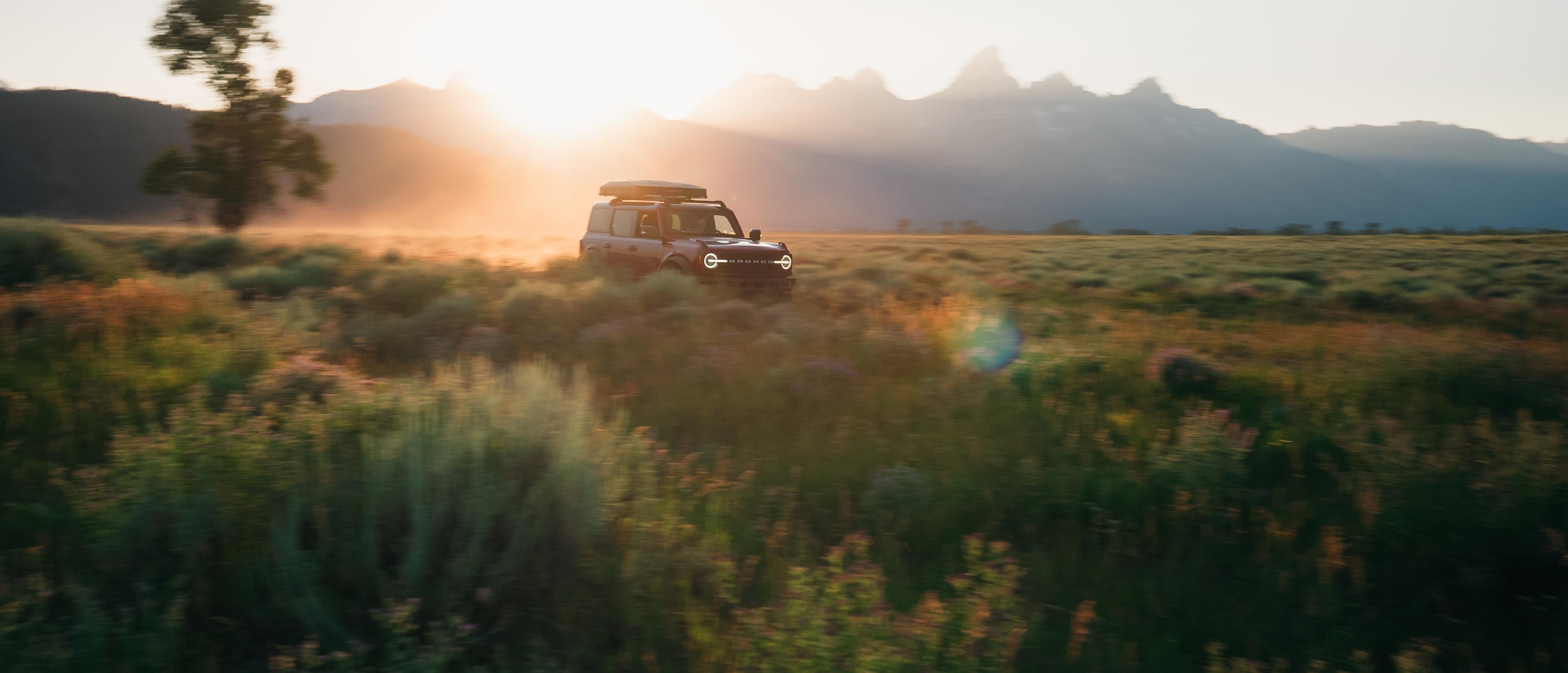 2025 Ford Bronco Sport® driving through a sun-drenched grassy field at sunset