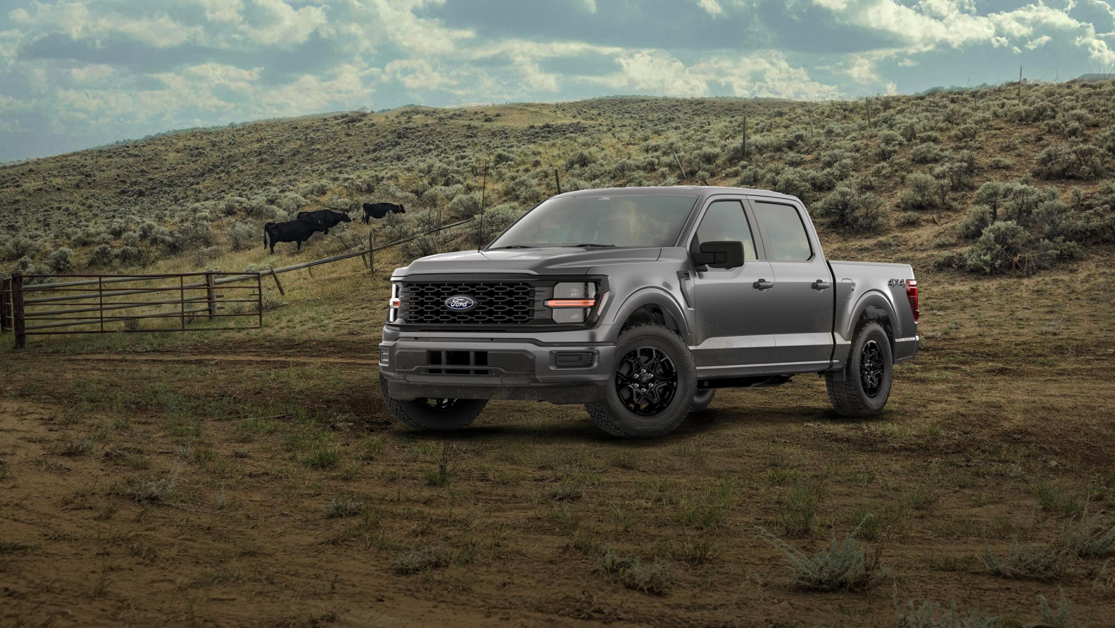 2026 Ford F-150® STX® model parked in a forest setting