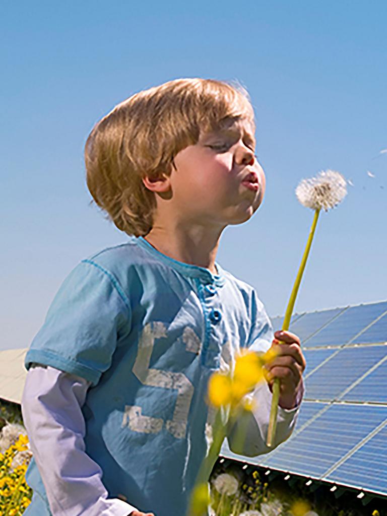 Boy blowing on a flower