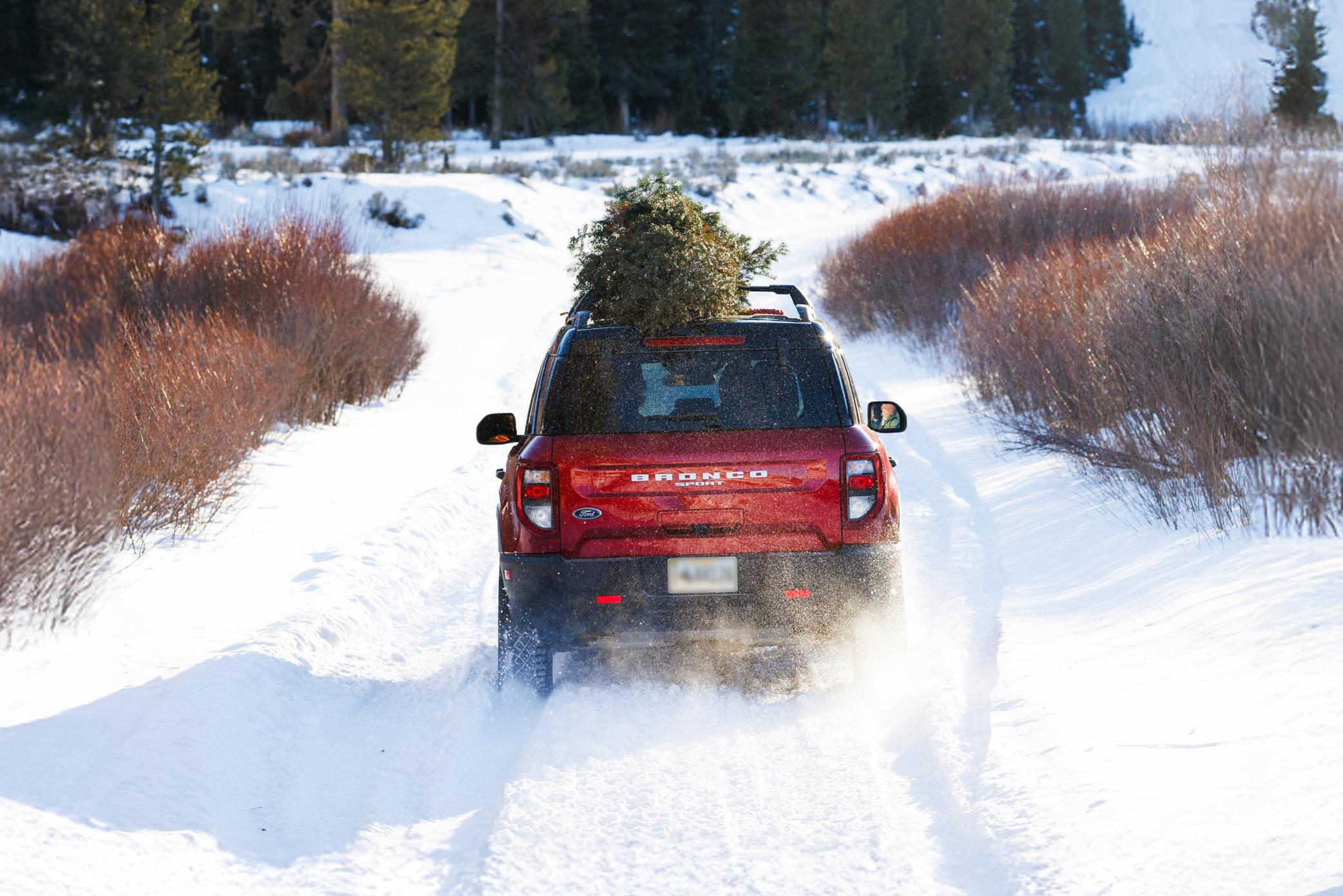 Red Ford Bronco Sport® SUV driving through snowy landscape with a tree on top