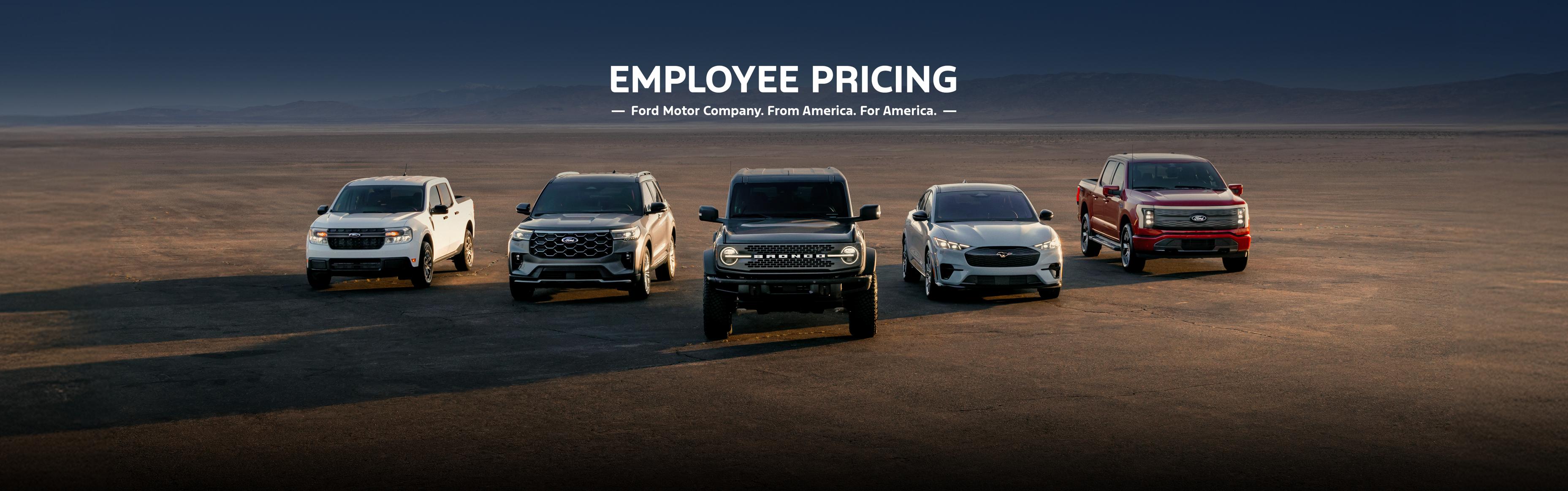 A line up of Ford vehicles