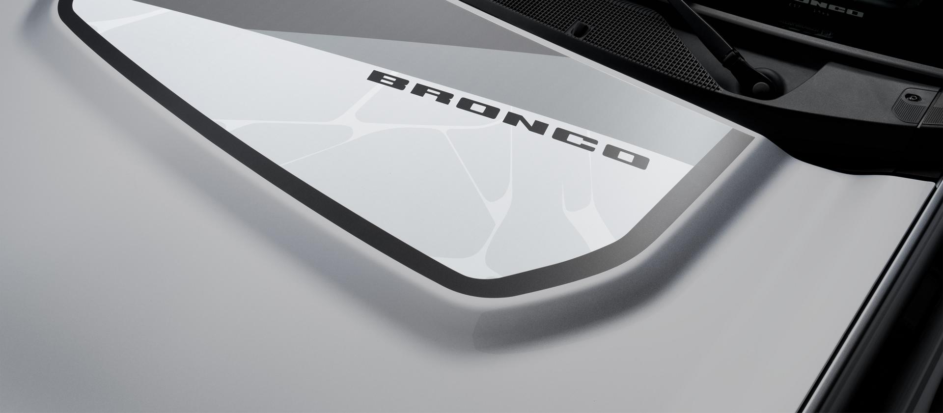 Geometric Bronco Hood Graphic