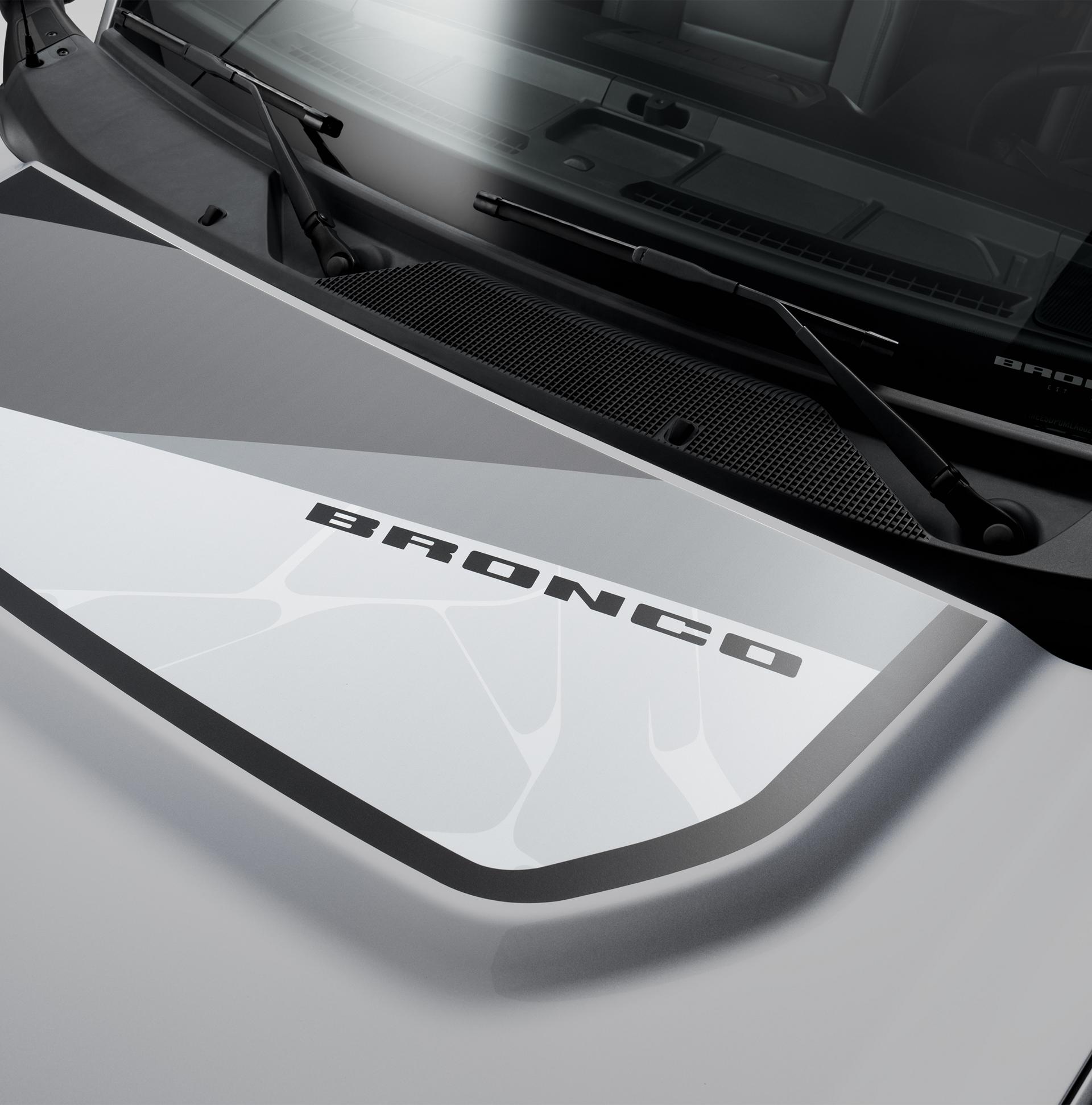 Geometric Bronco Hood Graphic