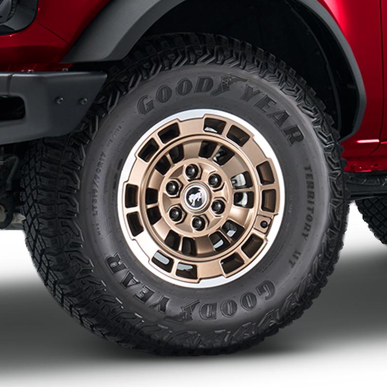Sinister Bronze 17-inch x 8.5-inch Wheel – x5