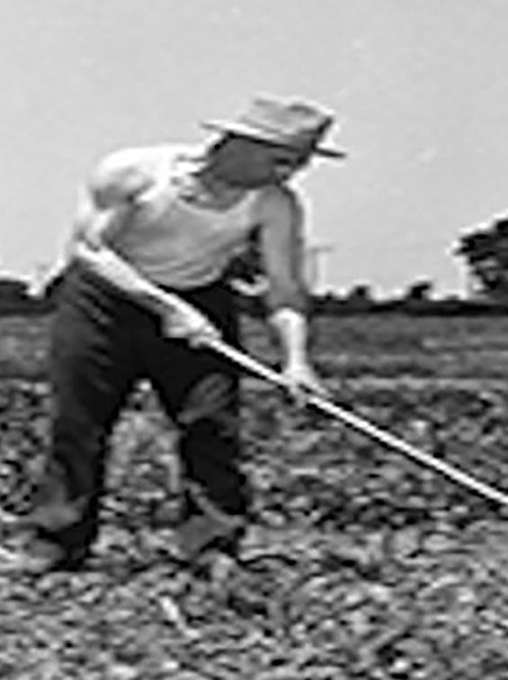 Man and woman tending crops