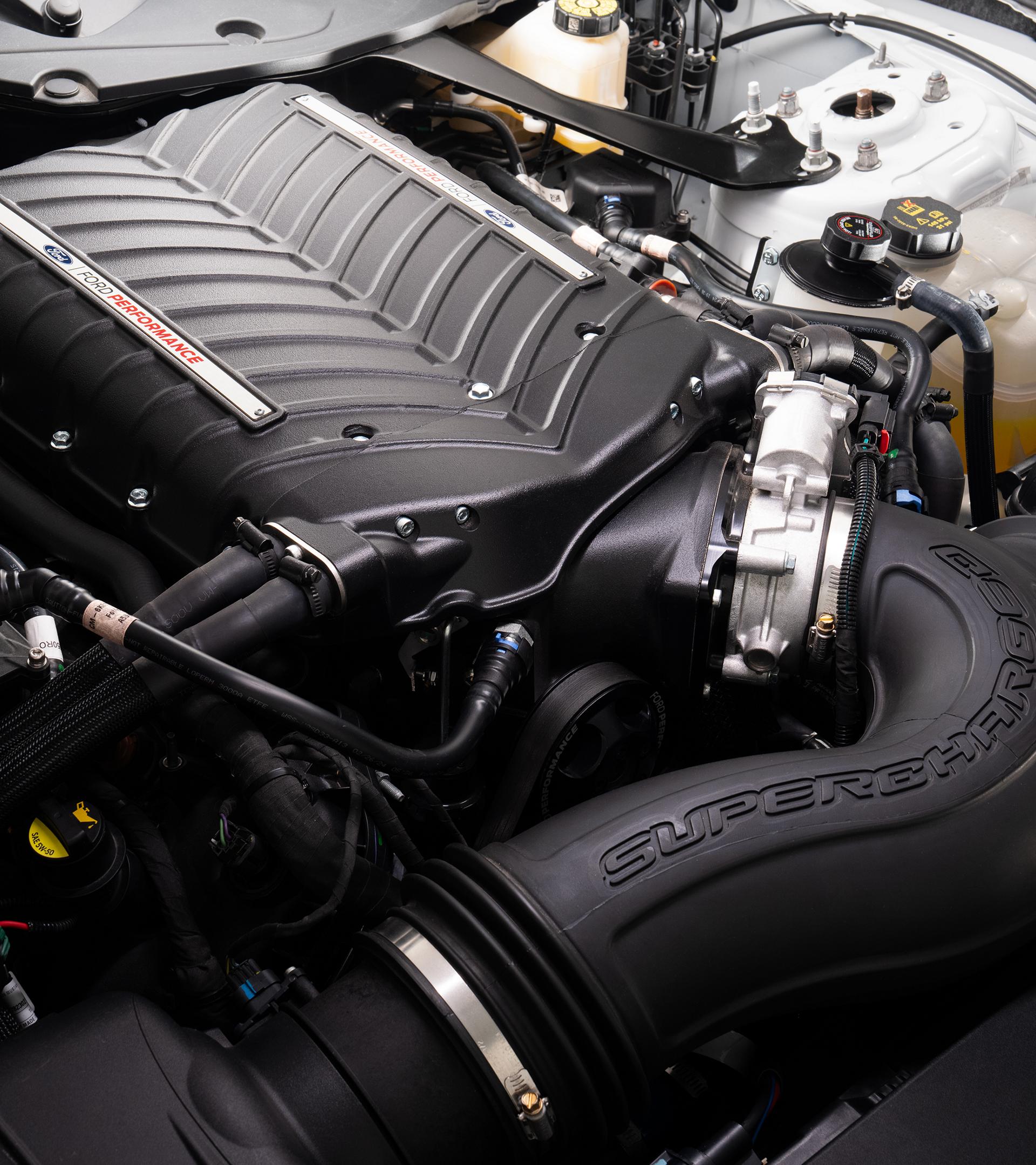 Close-up of the 3.0L Whipple supercharger installed on the Mustang 5.0L V8 engine