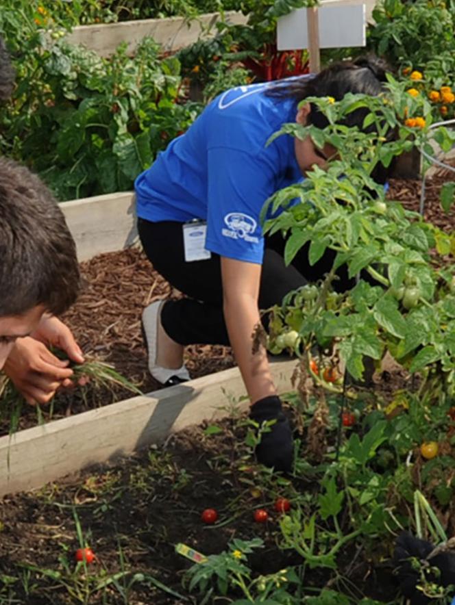 People doing volunteer gardening