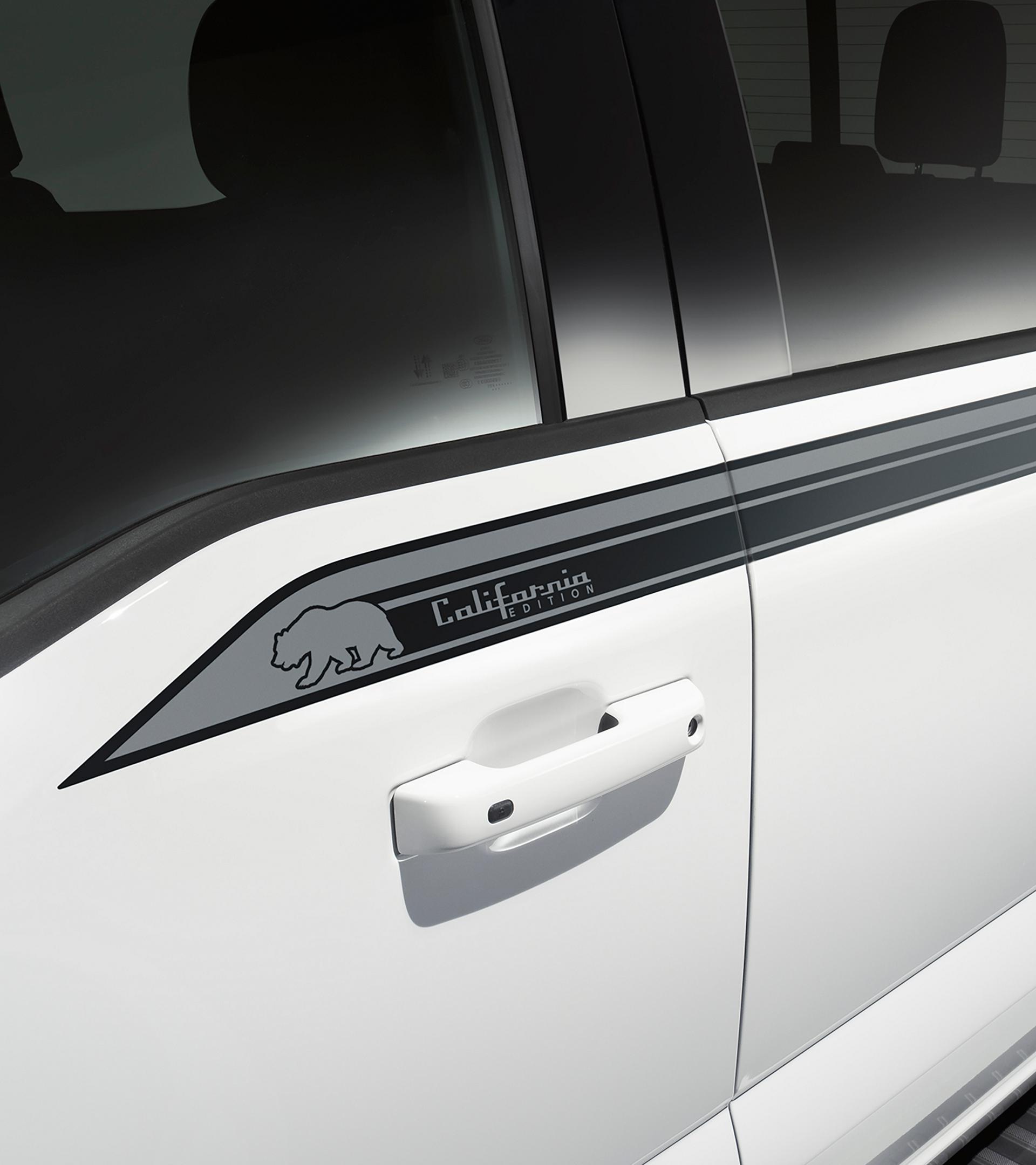 Close-up of the body-side graphic kit on a white Ford F-150® door