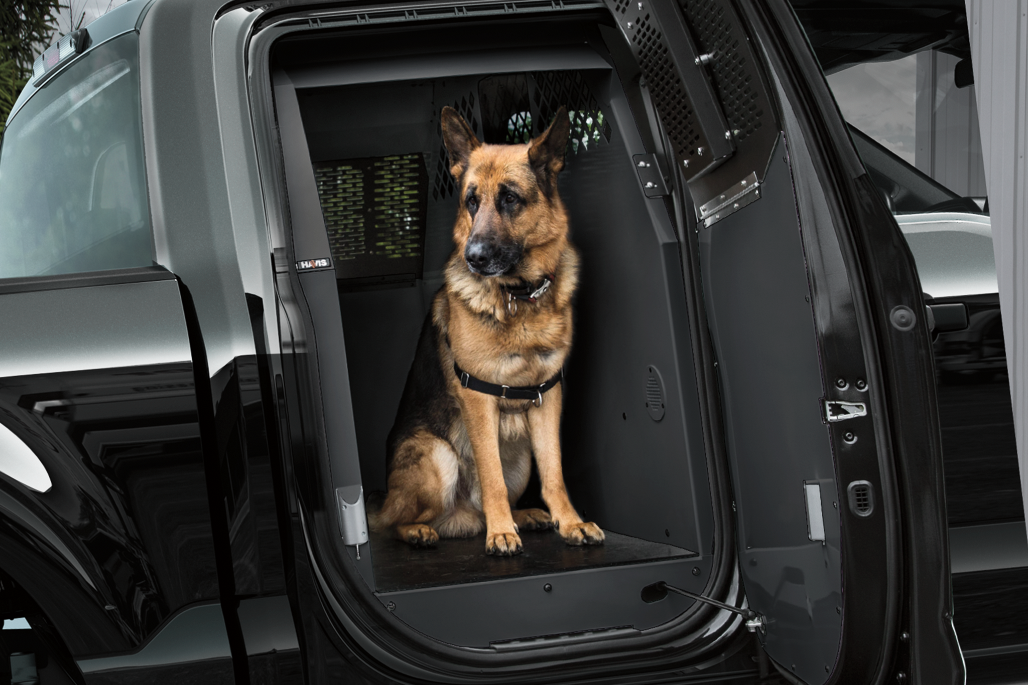 A police dog inside a k 9 outfitted twenty twenty one ford f one fifty special service vehicle