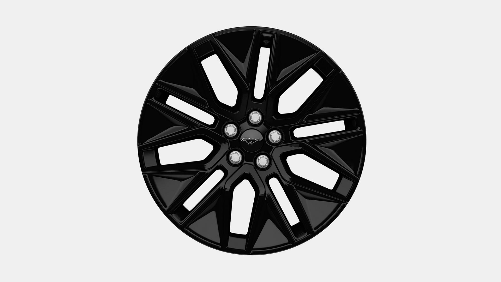 19-inch Monochromatic High-Gloss Black-Painted Wheels