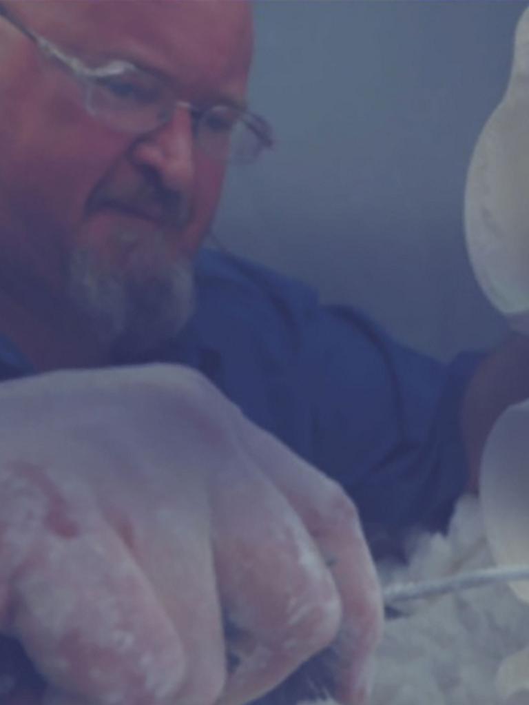 Man in glasses with mold