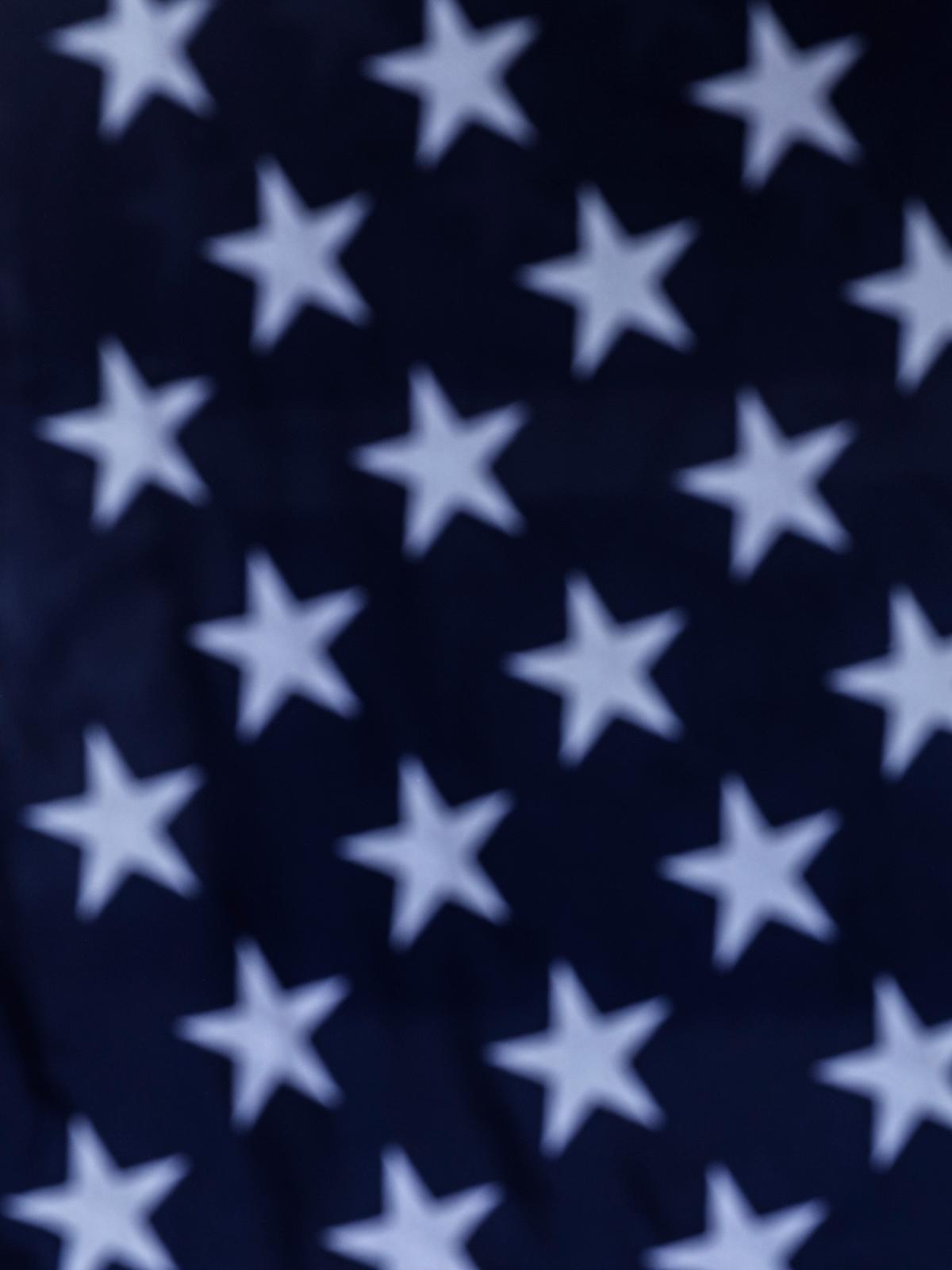 White stars in the blue canton of the United States flag