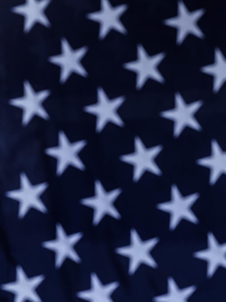 White stars in the blue canton of the United States flag