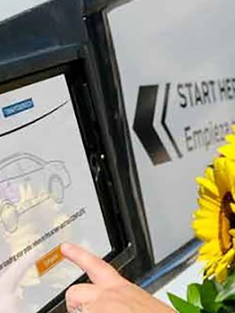 Screen flowers and women