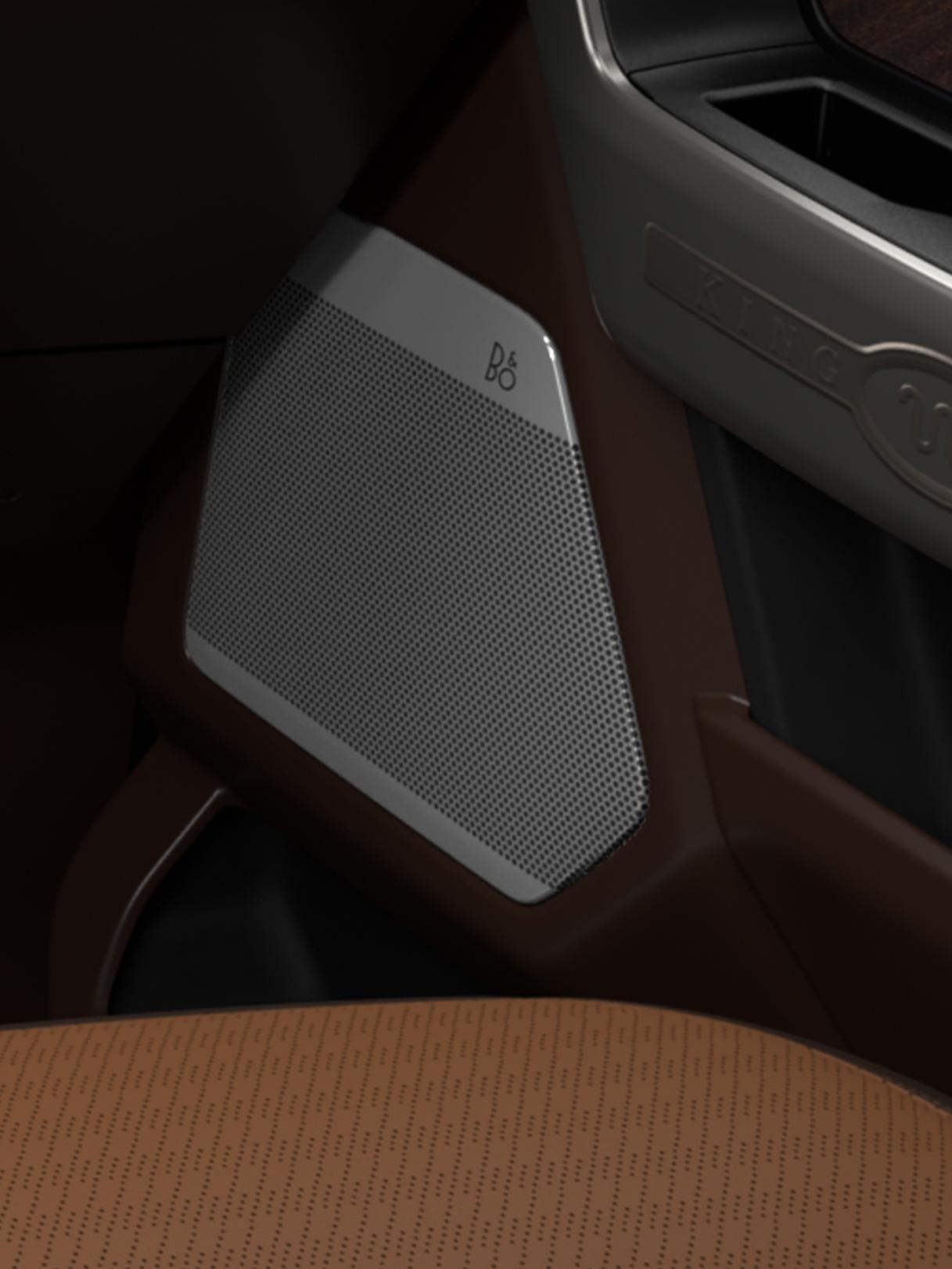 Close-up of the Bang and Olufsen® door speaker