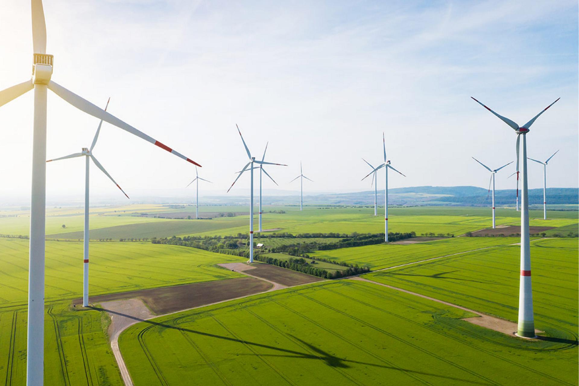Multiple wind turbines stretch over miles of a wind farm