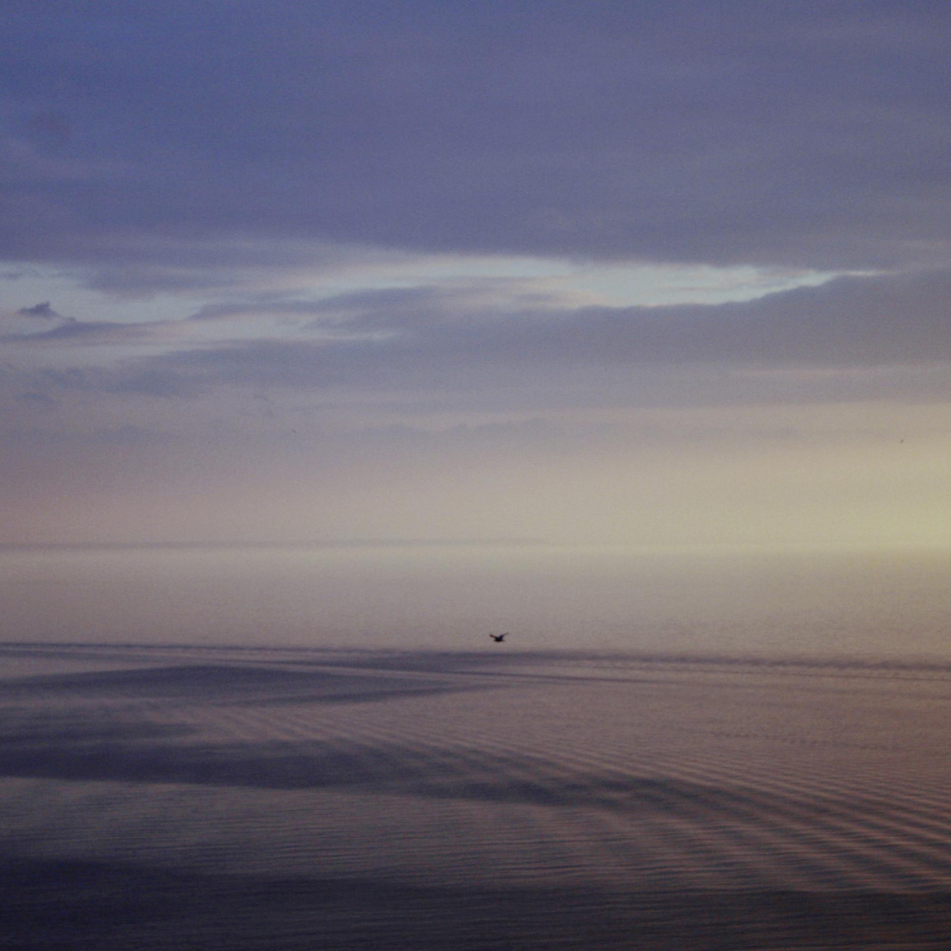 A morning scene of a coastal beach