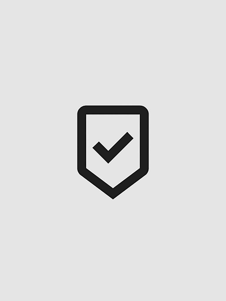 Icon of a checkmark within a shield