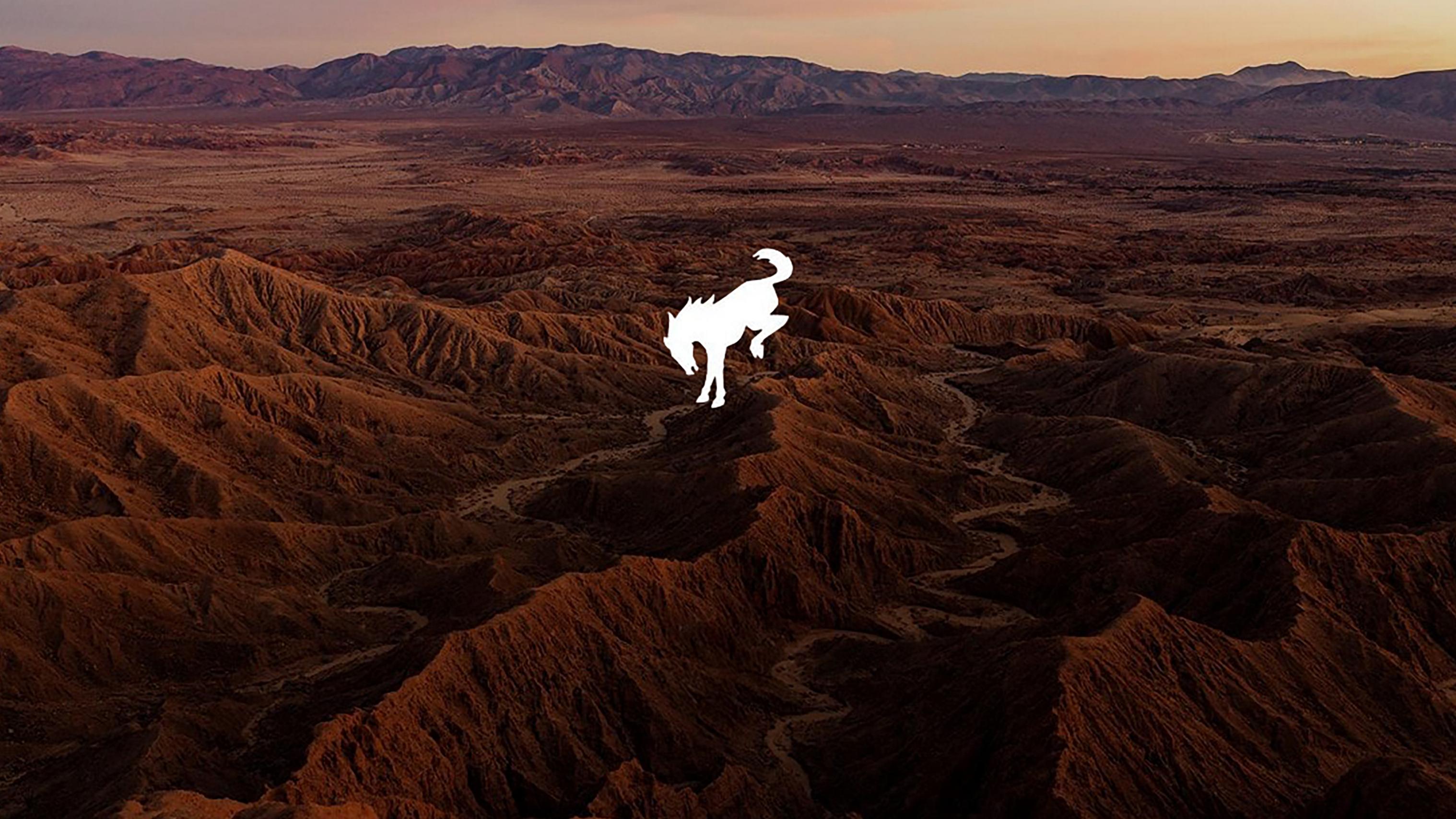 An amber desert terrain set behind a white Ford Bronco® logo treatment