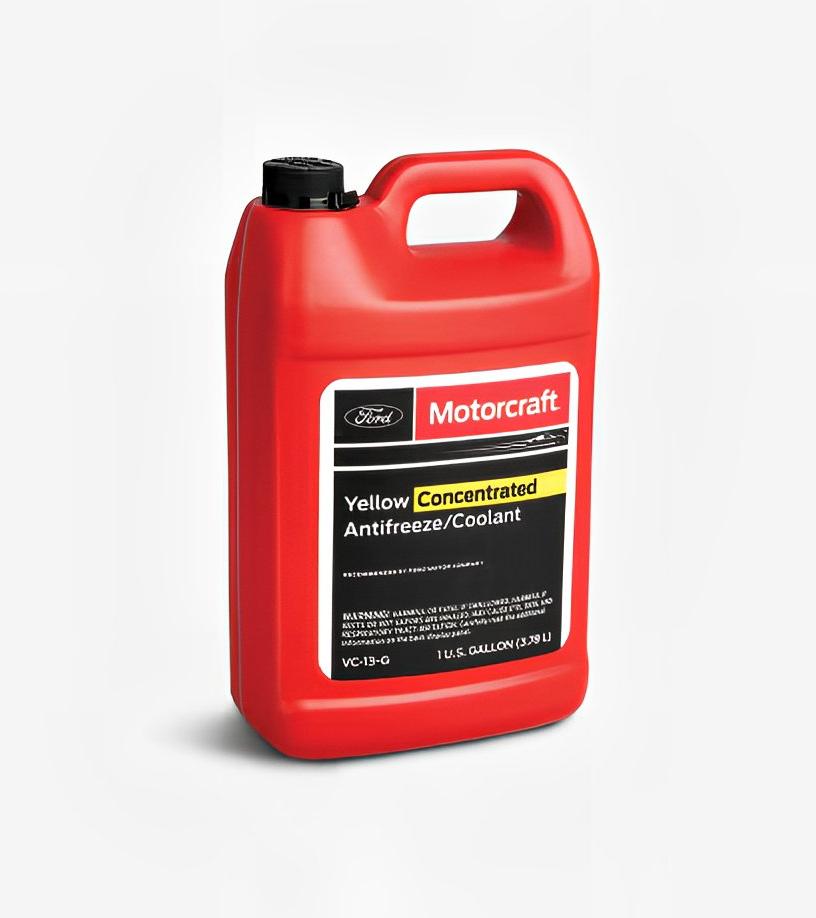 Red gallon jug of Motorcraft antifreeze/coolant