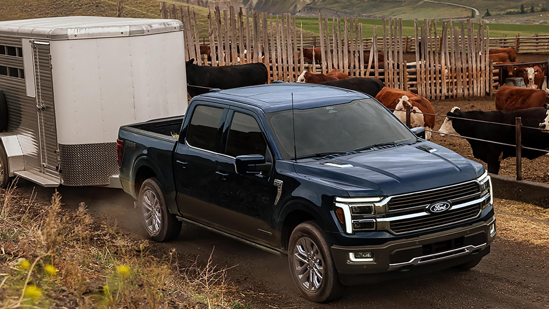 A 2026 Ford F-150® King Ranch® model hitched to a horse trailer